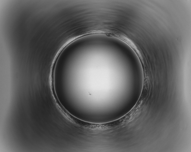 X0000096190811200801181320