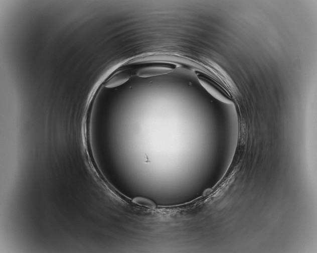 X0000096190812200801181320