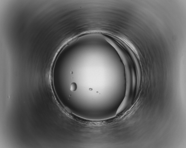 X0000096190813200801181320
