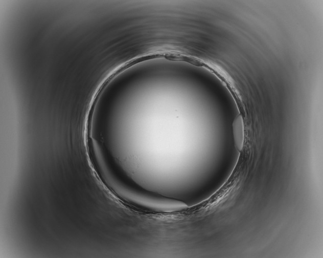 X0000096190815200801181319