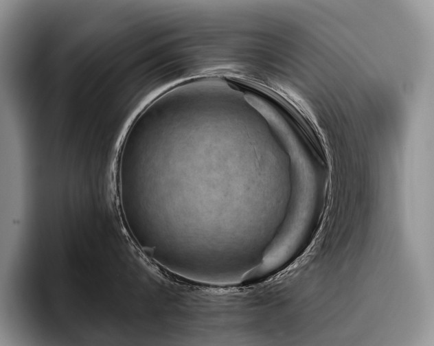 X0000096190816200801181319