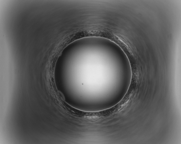 X0000096190817200801181319