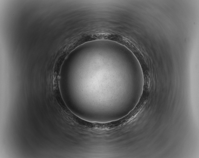 X0000096190818200801181319