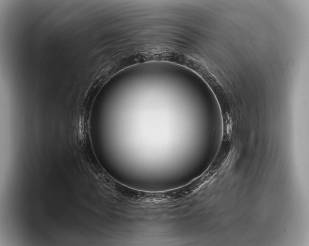 X0000096190819200801181319