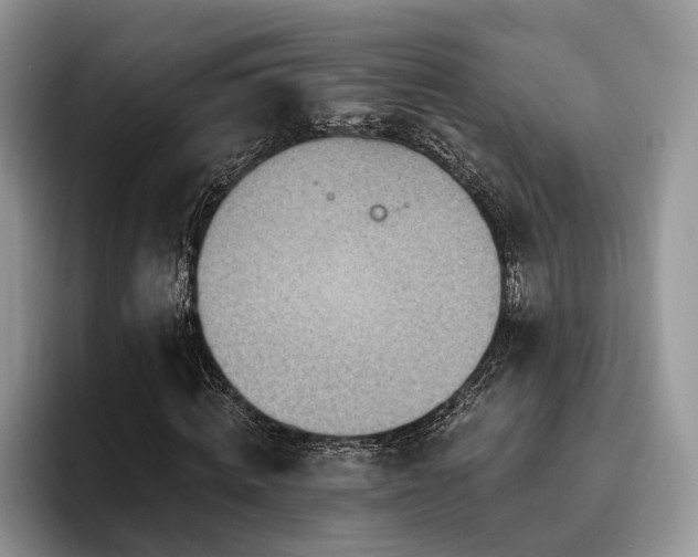 X0000096190820200801181319
