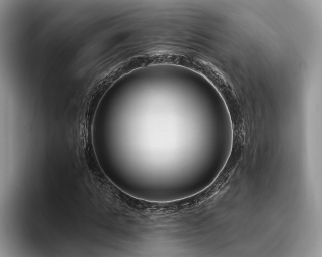 X0000096190821200801181319