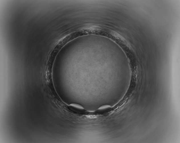 X0000096190822200801181319