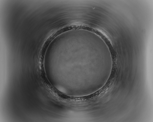 X0000096190823200801181319