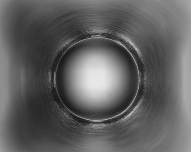 X0000096190825200801181319