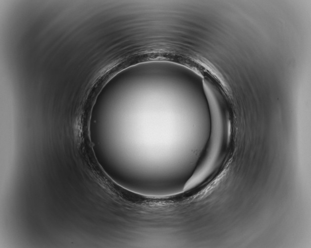 X0000096190826200801181319