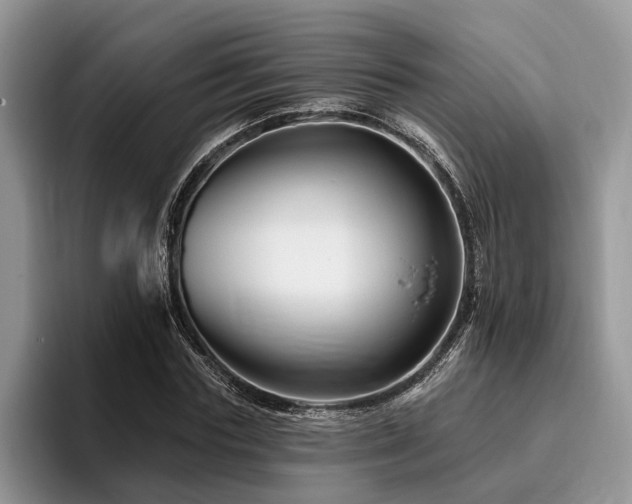 X0000096190827200801181319