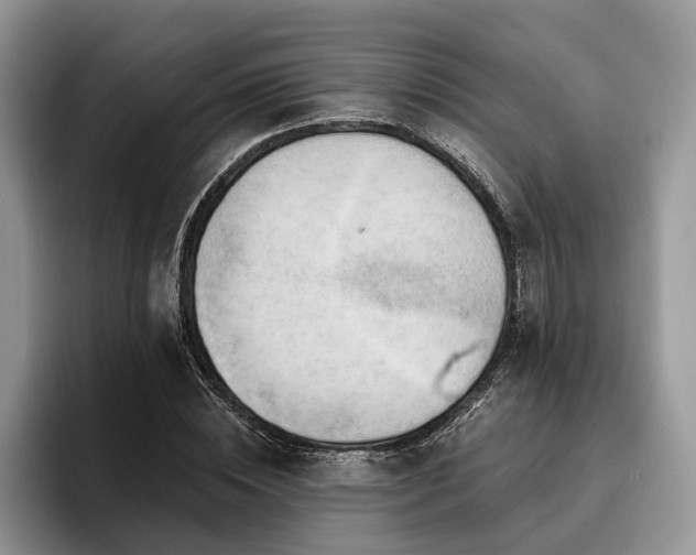X0000096190828200801181319