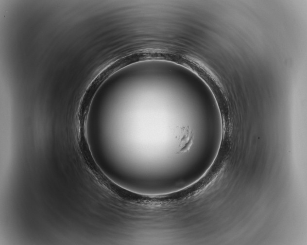 X0000096190829200801181319