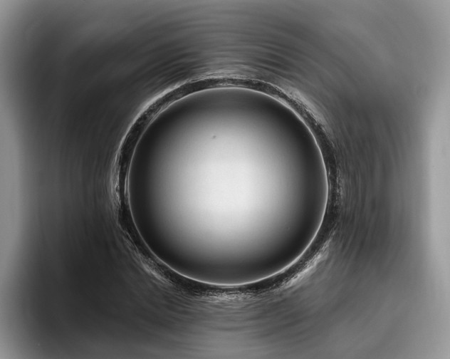 X0000096190830200801181319
