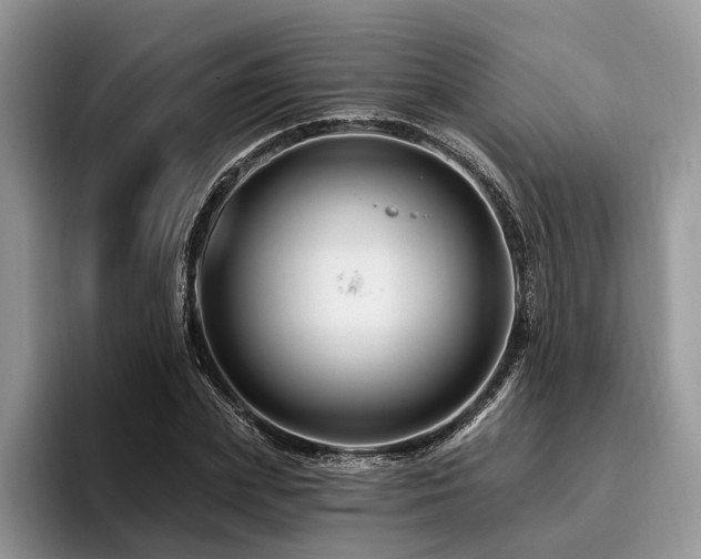 X0000096190831200801181319