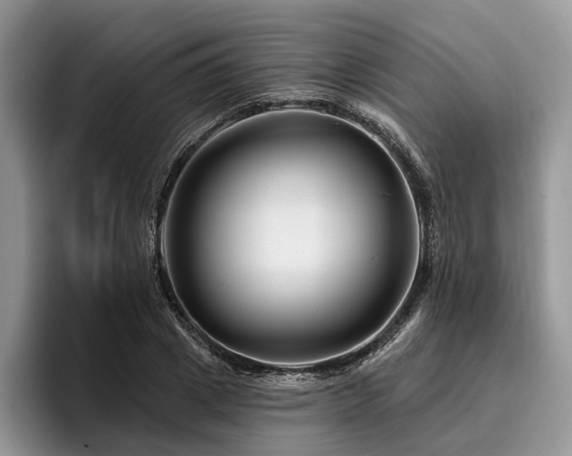 X0000096190833200801181319