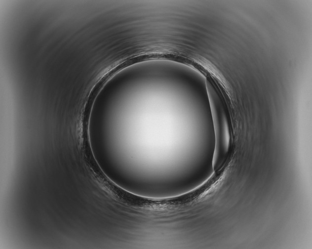 X0000096190834200801181319