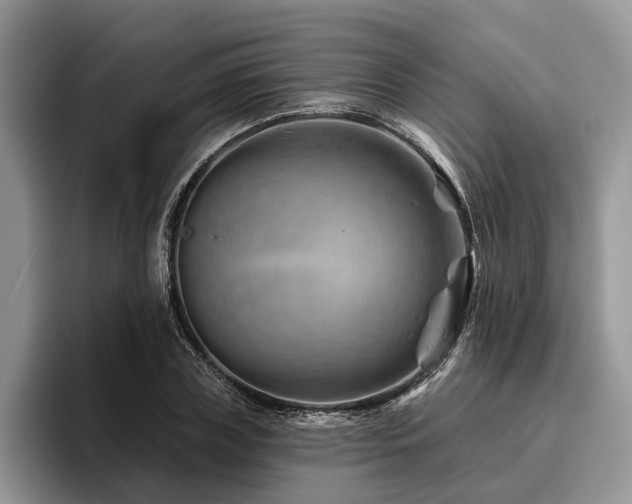 X0000096190835200801181319