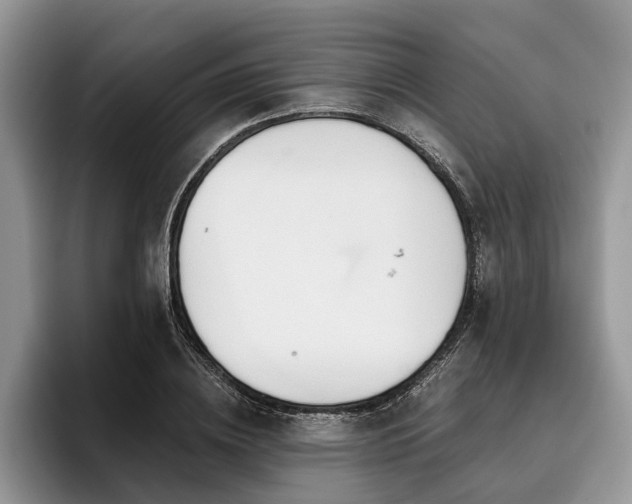 X0000096190836200801181319
