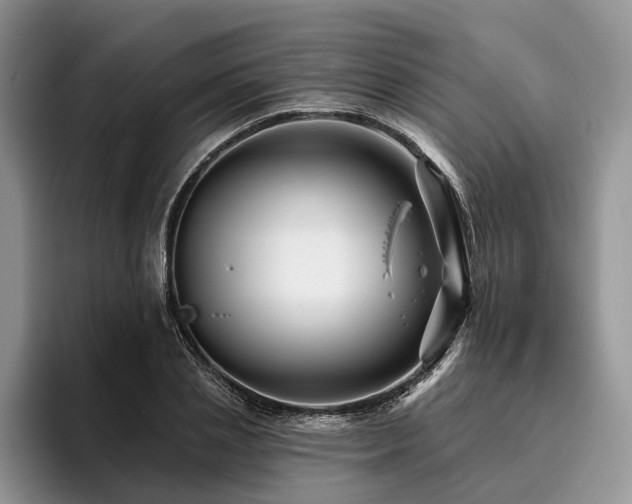 X0000096190837200801181319