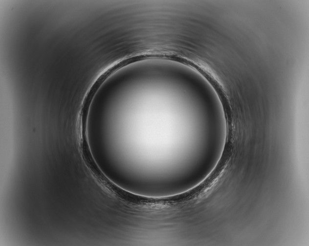 X0000096190838200801181319