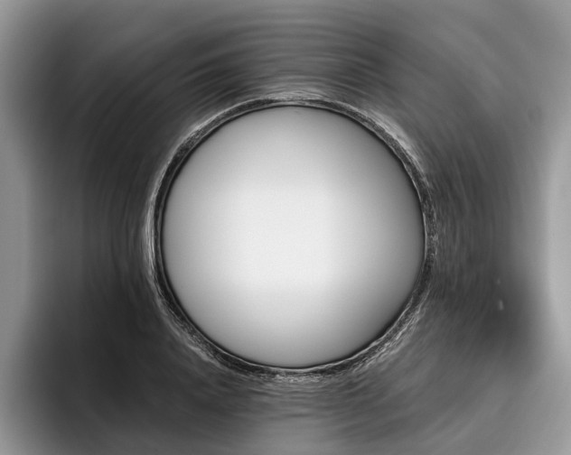 X0000096190840200801181319