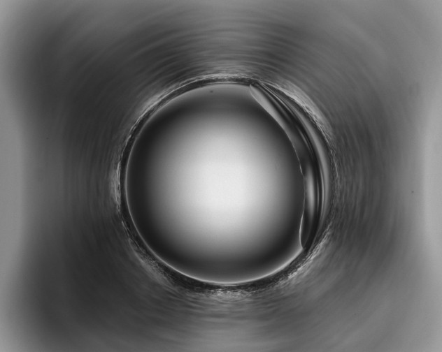 X0000096190842200801181319