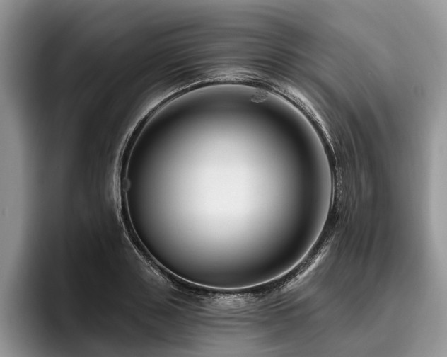 X0000096190843200801181319