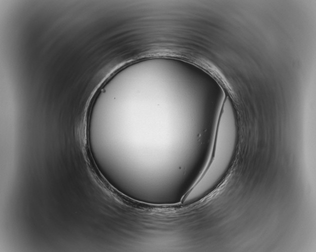 X0000096190844200801181319