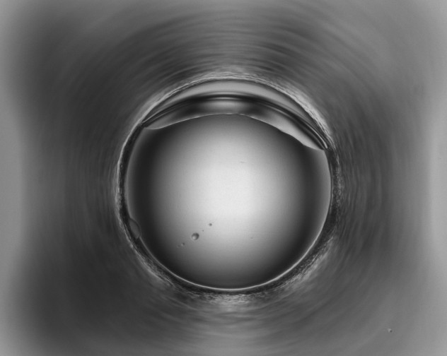 X0000096190845200801181319