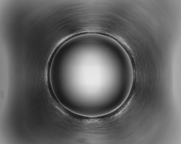 X0000096190846200801181319