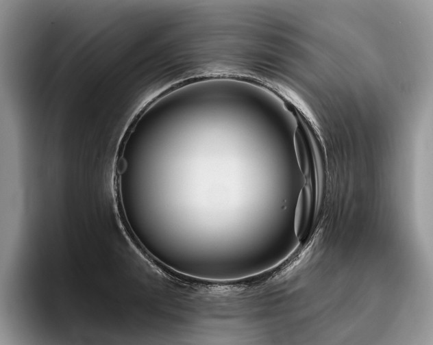 X0000096190847200801181319