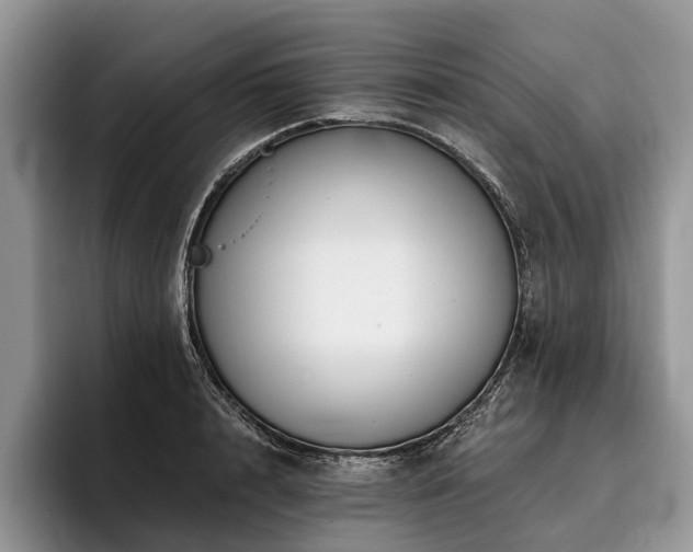 X0000096190848200801181319