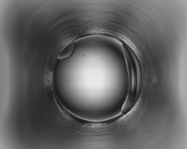 X0000096190849200801181319