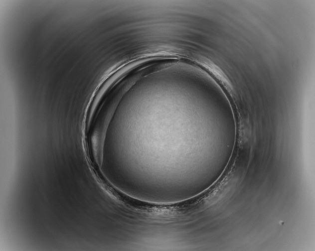 X0000096190850200801181319