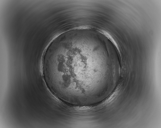 X0000096190851200801181319