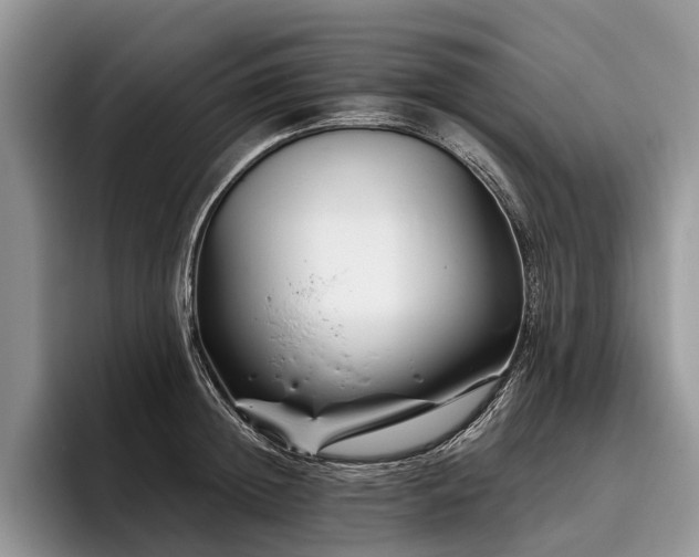 X0000096190852200801181319
