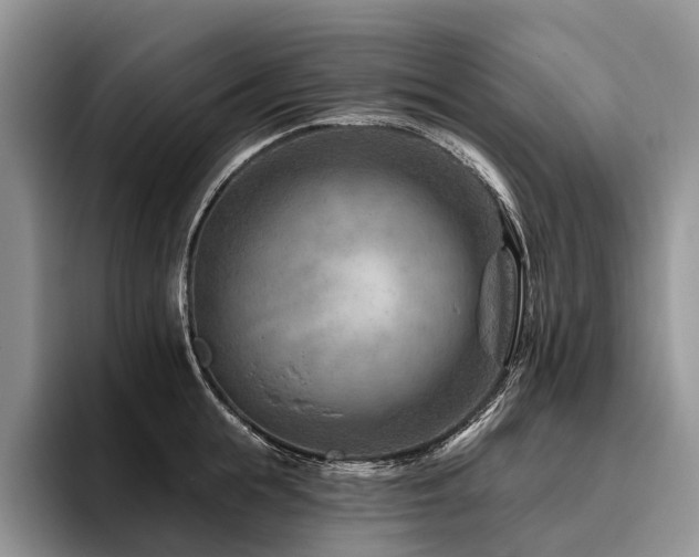X0000096190855200801181319