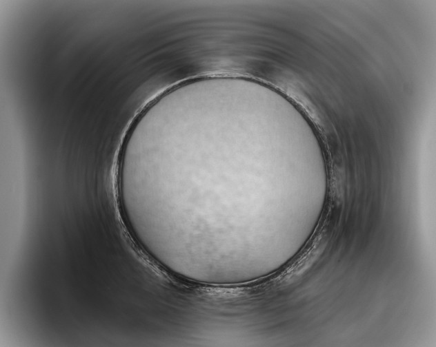 X0000096190856200801181319