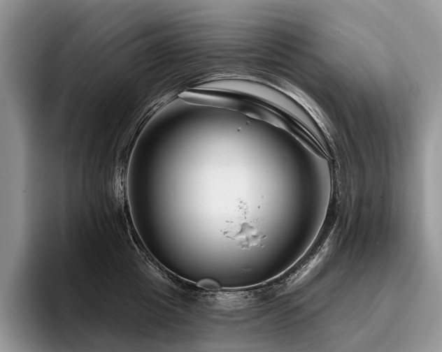 X0000096190857200801181319
