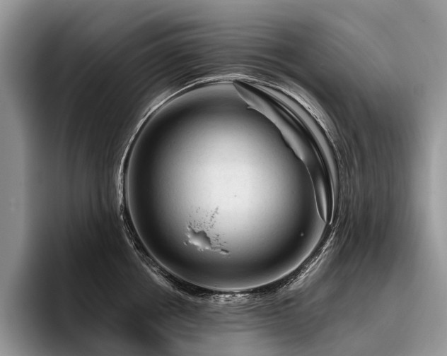 X0000096190858200801181319