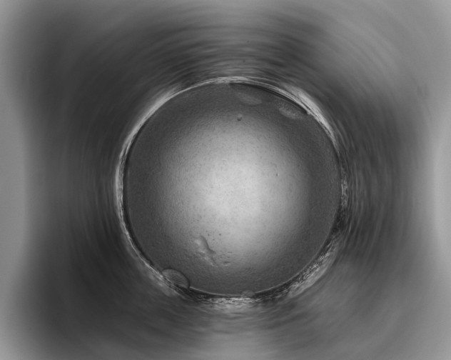 X0000096190859200801181319