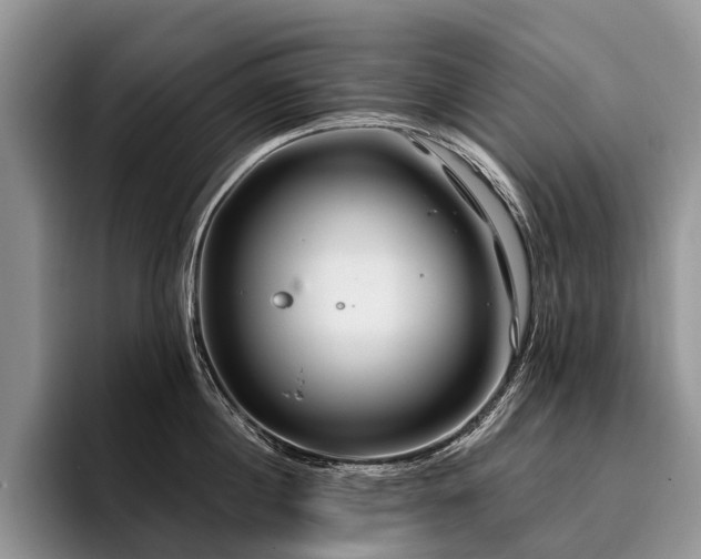 X0000096190860200801181319