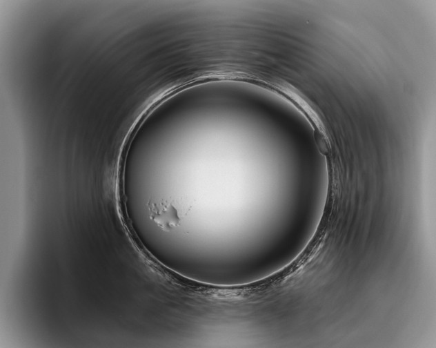 X0000096190861200801181319