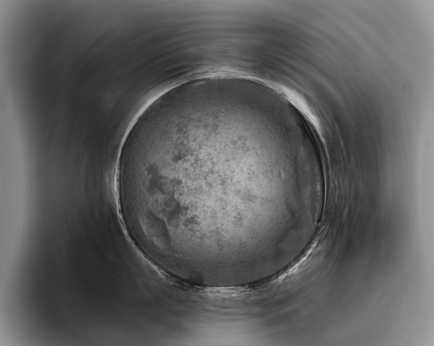 X0000096190863200801181319