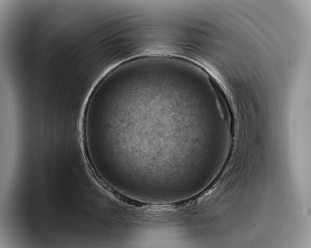X0000096190864200801181319