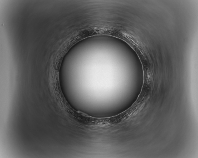 X0000096190865200801181319