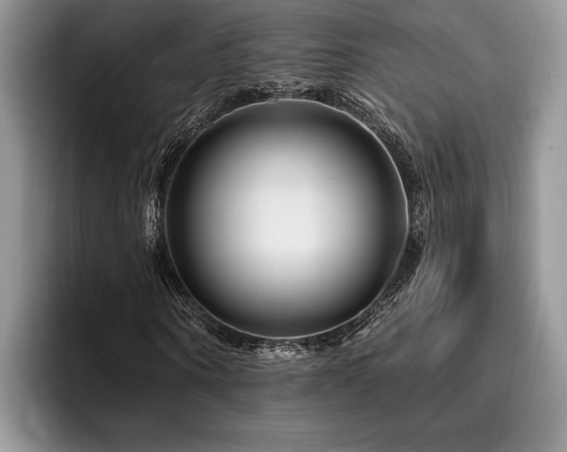 X0000096190866200801181319