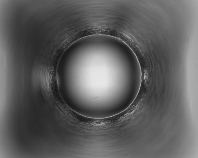 X0000096190867200801181319