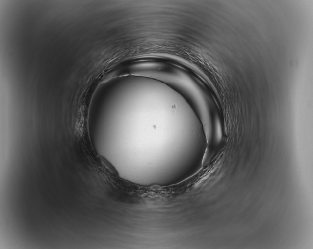 X0000096190868200801181319